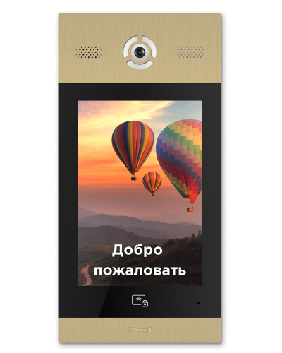 AA-14FB GOLD. Вызывная панель подъездного IP-домофона. BAS-IP в Раменском