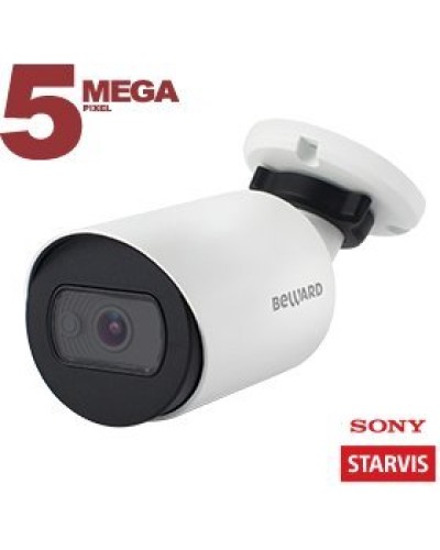 SV3210RC (3.6 мм). Видеокамера IP цилиндрическая. Beward в Раменском