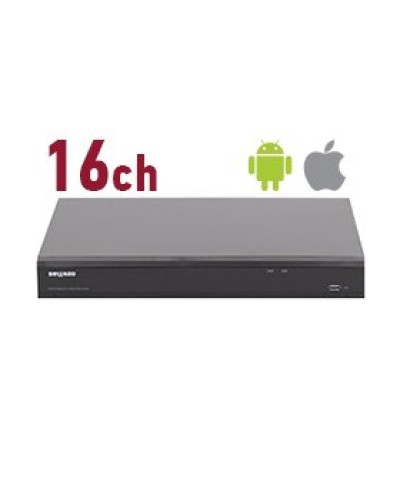 RK2216. Видеорегистратор IP 16-канальный. Beward в Раменском
