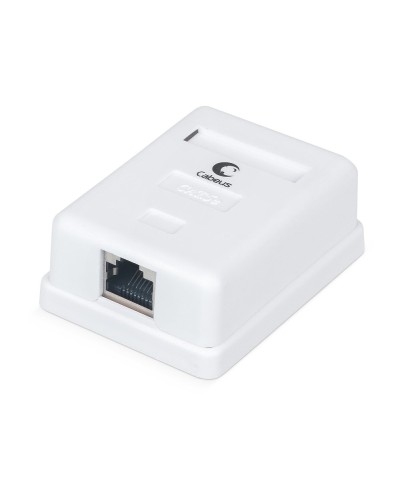 WS-8P8C-Cat.5e-SH-1 (7485c): Розетка RJ-45 в Раменском