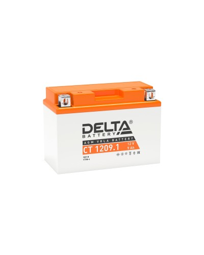 Delta CT 1209.1. Аккумулятор герметичный свинцово-кислотный стартерный. Delta в Раменском