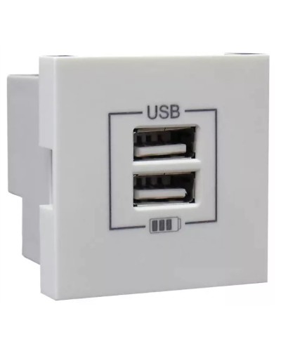 Розетка USB двойная, зарядная, белая (45439 SBR): Розетка USB двойная в Раменском