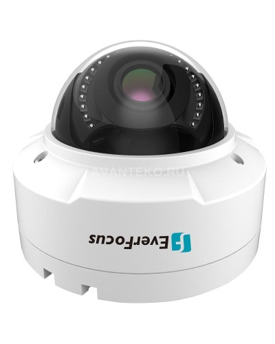 EHN-1250. Видеокамера IP купольная. EverFocus в Раменском