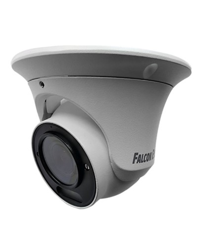FE-IPC-DV2-40pa. Видеокамера IP купольная. Falcon EYE в Раменском