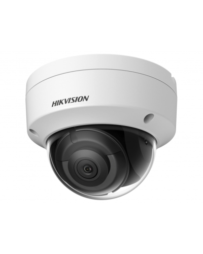 DS-2CD2123G2-IS(2.8мм)(D). Профессиональная видеокамера IP купольная. Hikvision в Раменском