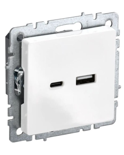 Розетка USB A+C 18Вт РЮ11-1-БрБ белый BRITE (BR-U22-018-K01). Розетка USB. IEK в Раменском