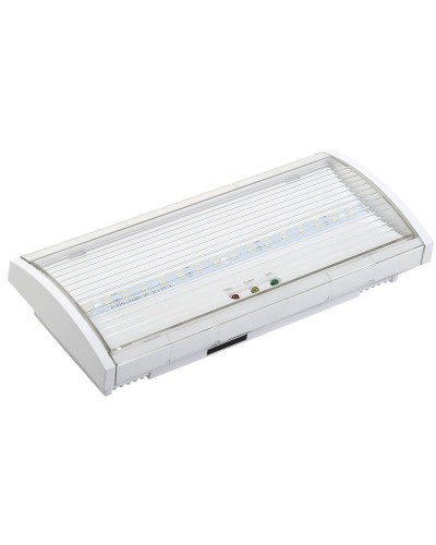 Светильник аварийный ДПА 5040-3 3ч IP54 LIGHTING (LDPA0-5040-3H-K01). Светильник аварийный постоянного действия. IEK в Раменском