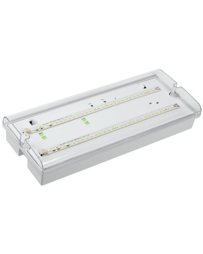 Светильник аварийный ДПА 5042-1 1ч IP65 LIGHTING (LDPA0-5042-1-65-K01). Светильник аварийный универсальный. IEK в Раменском