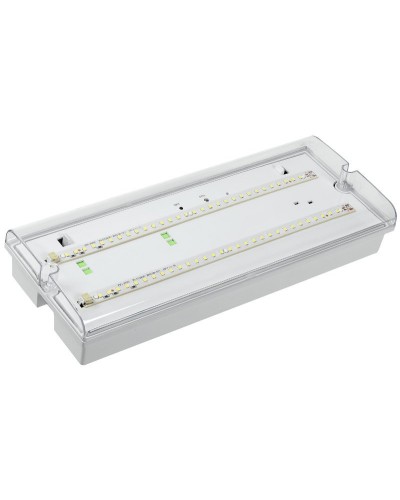 Светильник аварийный ДПА 5042-3 3ч IP65 LIGHTING (LDPA0-5042-3-65-K01). Светильник аварийный универсальный. IEK в Раменском