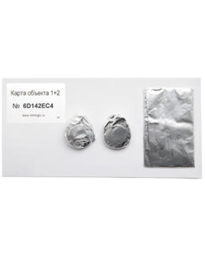 Карта объекта 1+2. Проксимити карта. IronLogic в Раменском