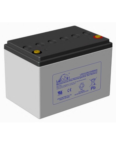 LEOCH LPG 12-60. Аккумулятор герметичный свинцово-кислотный. LEOCH в Раменском