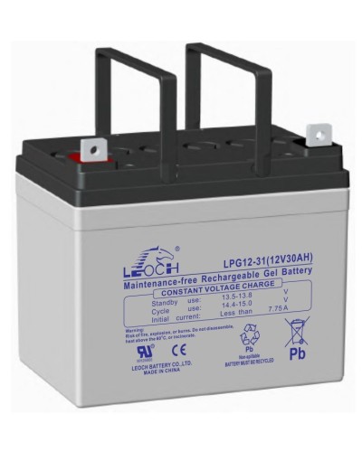 LEOCH LPG 12-31. Аккумулятор герметичный свинцово-кислотный. LEOCH в Раменском