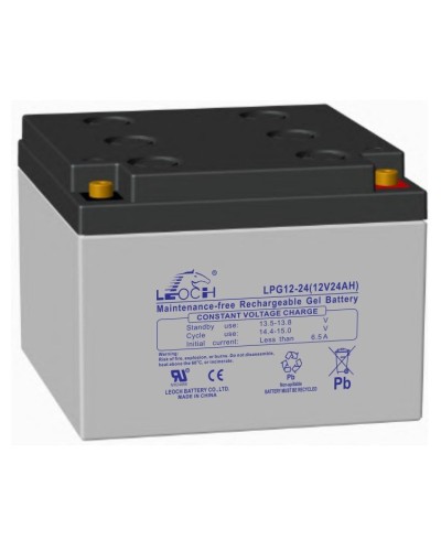 LEOCH LPG 12-24. Аккумулятор герметичный свинцово-кислотный. LEOCH в Раменском