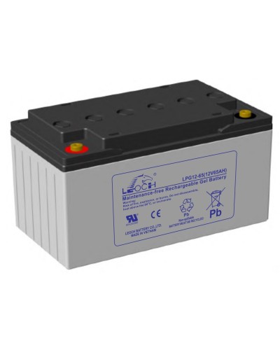 LEOCH LPG 12-65. Аккумулятор герметичный свинцово-кислотный. LEOCH в Раменском