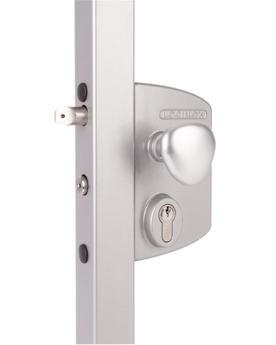 LIKQ4040 U2L (цвет: RAL 9005, черный). Замок электромеханический для калиток. Locinox в Раменском