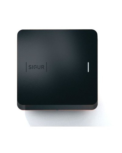 Sigur MR100 Multi. Считыватель. SIGUR в Раменском