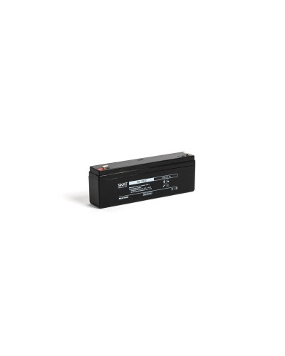 SKAT SB 12022 (2539). Аккумулятор герметичный свинцово-кислотный. Бастион в Раменском