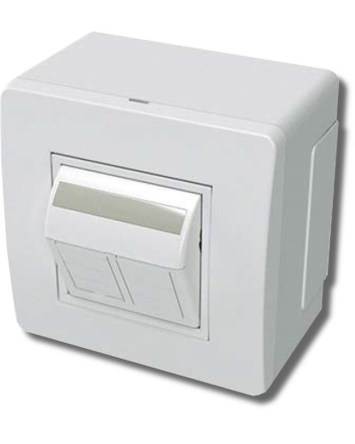 Коробка в сборе с 2 розетками RJ45, кат.5е, белая (10656): Коробка в сборе в Раменском