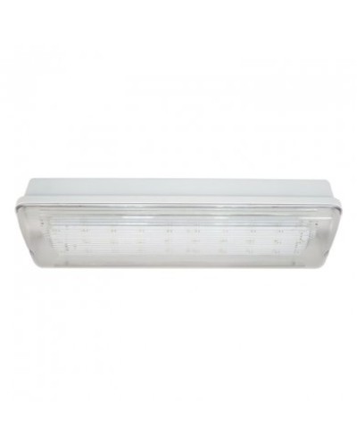 SL-223-30LED1.8 исп. 1, IP65. Светильник аварийного освещения. ИП Раченков А.В. в Раменском