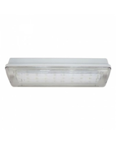 SL-213-30LED1.8 исп. 1 IP65. Светильник аварийного освещения. ИП Раченков А.В. в Раменском