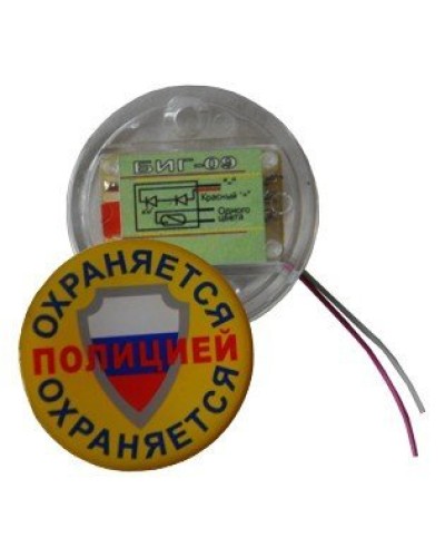 БИГ-09 н.р.. Индикатор прибытия наряда. ПЭАП (Альфатех-Центр) в Раменском