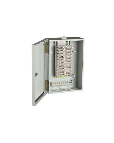ШРН-В/100-Р (120908-00122). Шкаф ШРН-В/100-Р, плинт ПВТ-10Р-5е. ССД (Связьстройдеталь) в Раменском